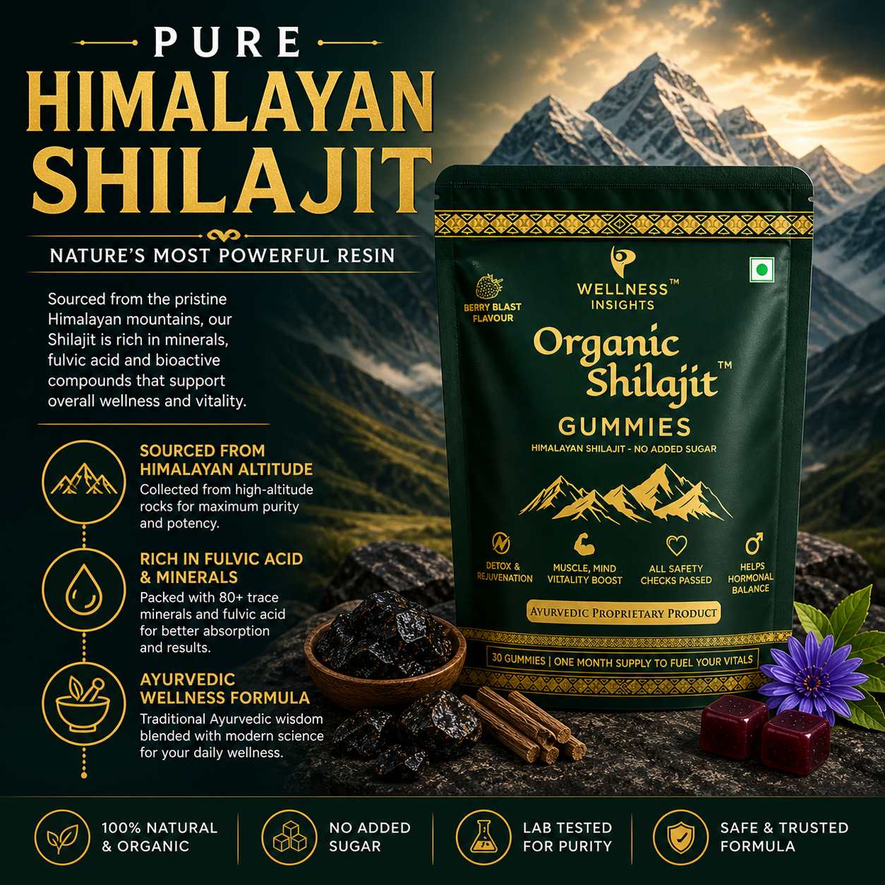 Wellness Insights Organic Shilajit Gummies 200mg | 30 Gummies (1 Month Supply)