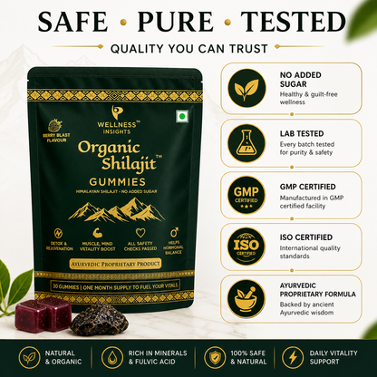 Wellness Insights Organic Shilajit Gummies 200mg | 30 Gummies (1 Month Supply)