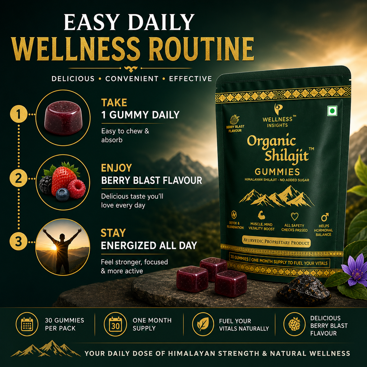 Wellness Insights Organic Shilajit Gummies 200mg | 30 Gummies (1 Month Supply)