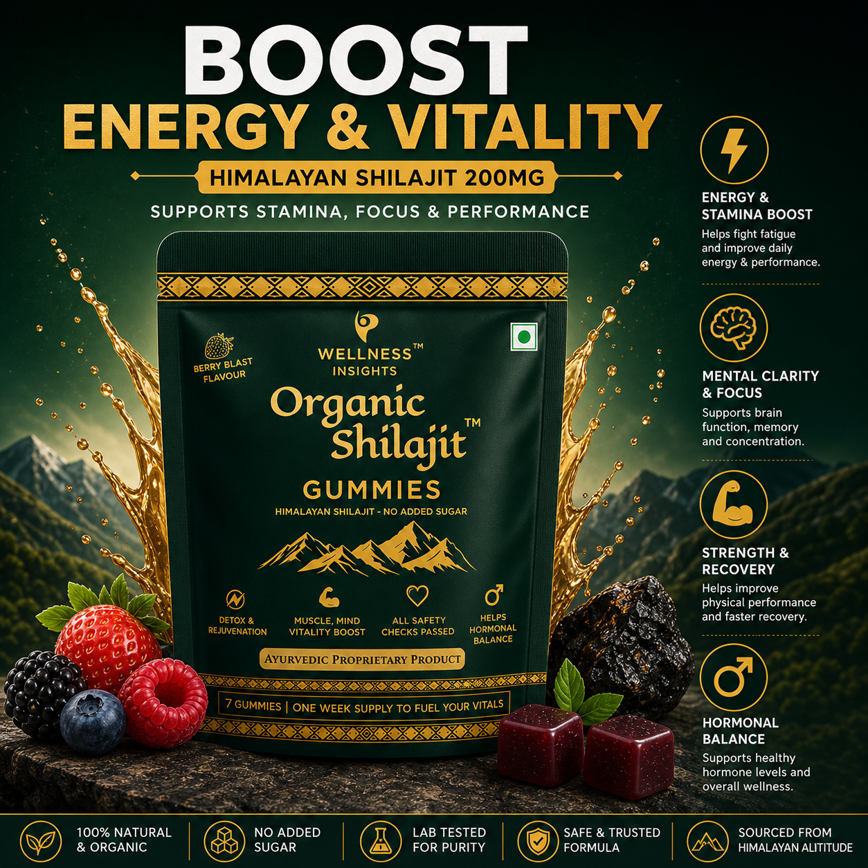 Wellness Insights Organic Shilajit Gummies 200mg | 7 Gummies (1 Week Trial Pack)