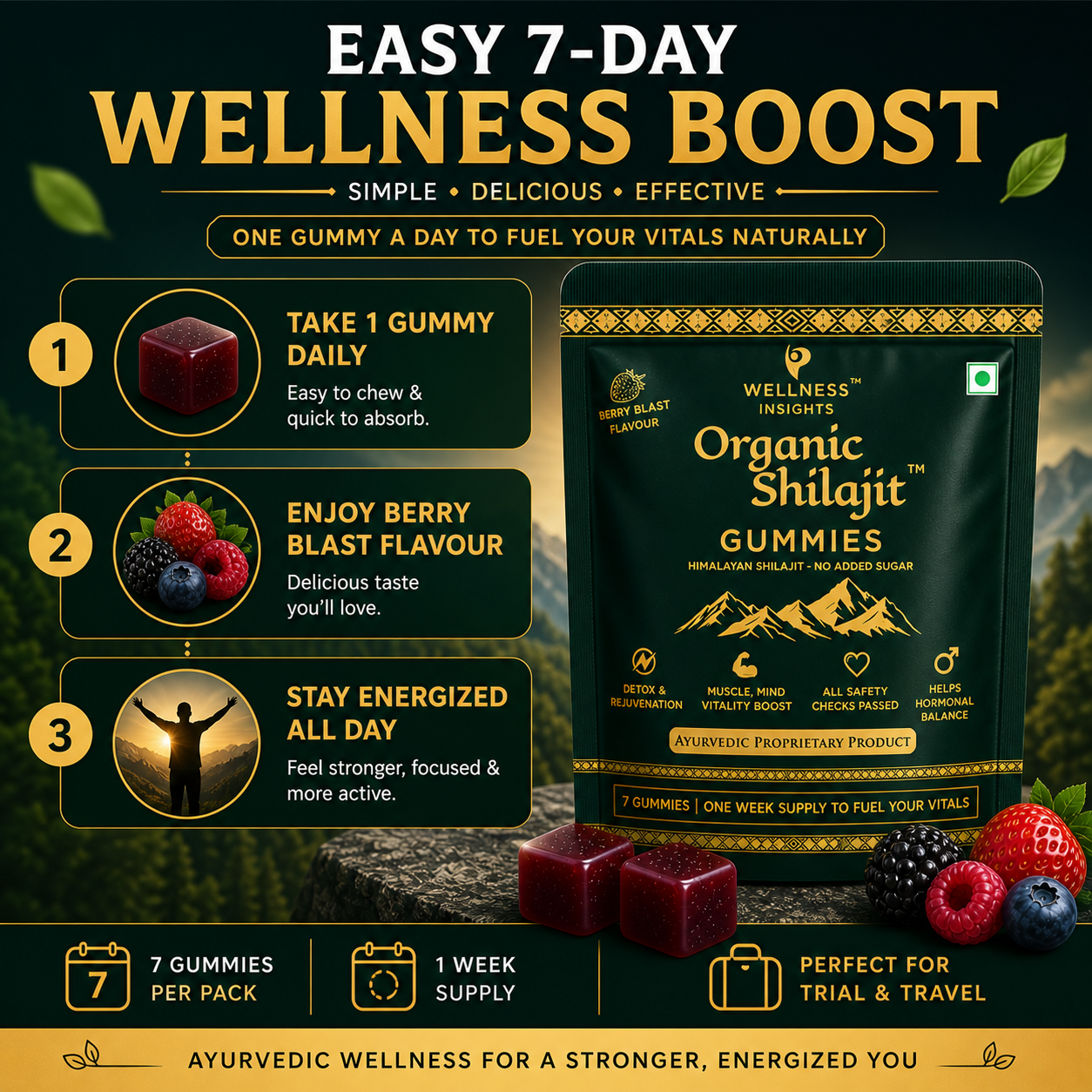 Wellness Insights Organic Shilajit Gummies 200mg | 7 Gummies (1 Week Trial Pack)