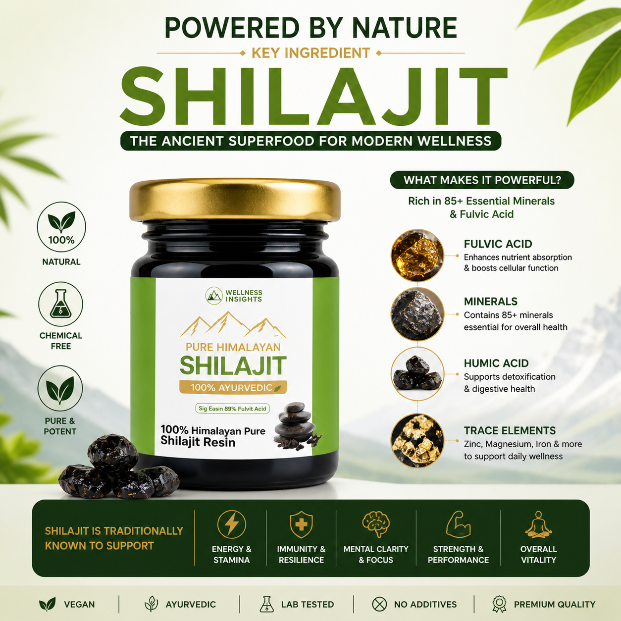 Authentic Himalayan Shilajit Resin