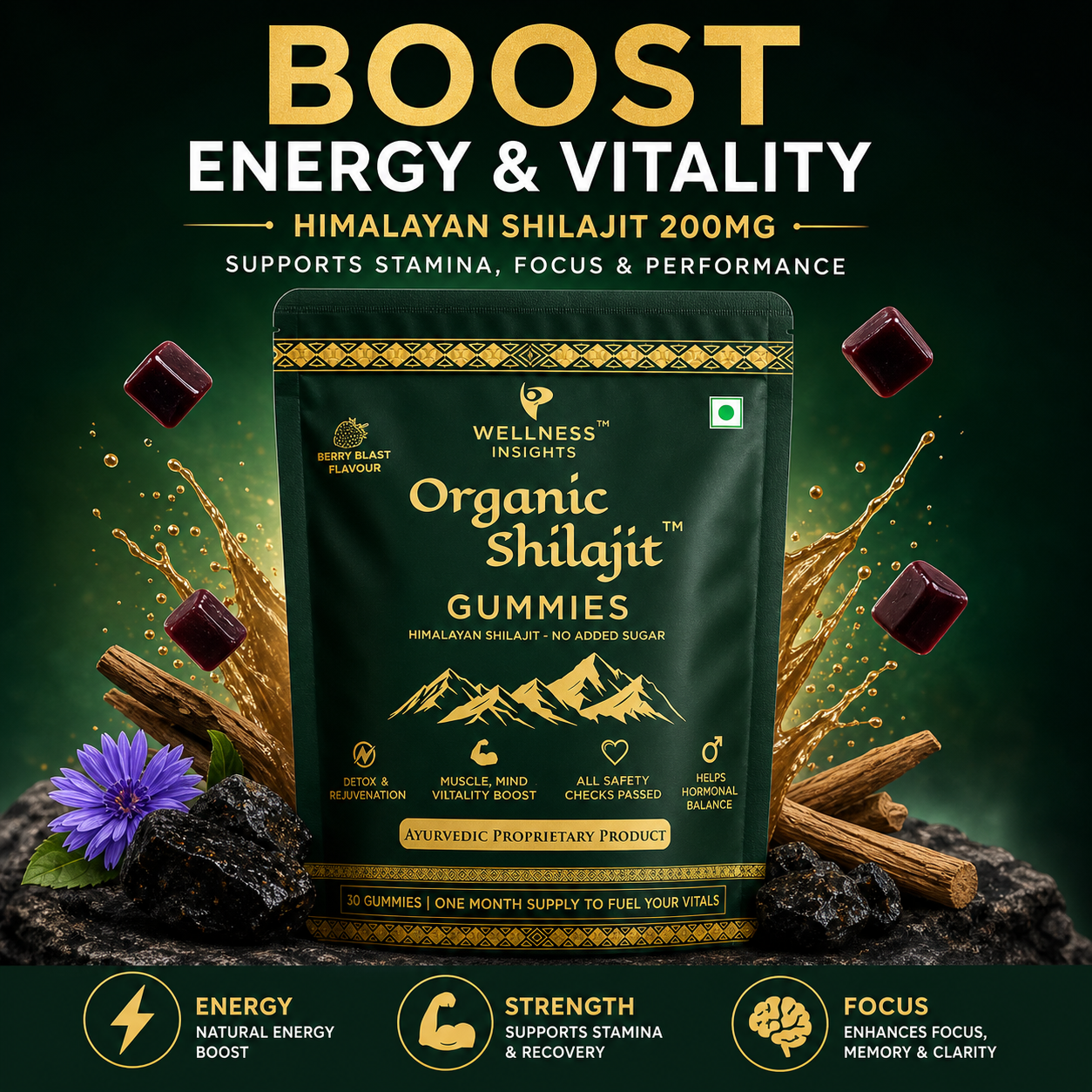 Wellness Insights Organic Shilajit Gummies 200mg | 30 Gummies (1 Month Supply)